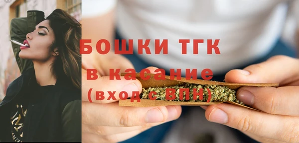2c-b Бородино