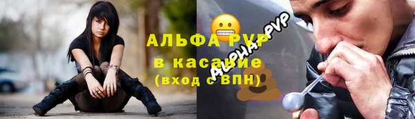 2c-b Бородино
