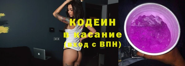 2c-b Бородино