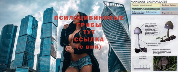 ГАЛЛЮЦИНОГЕННЫЕ ГРИБЫ Бронницы