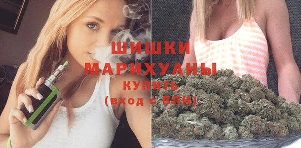 2c-b Бородино